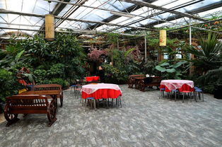 寧安農場生態(tài)園 自然與農業(yè)的和諧共生