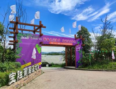 把課堂搬到泥土里，龍泉驛生態園打造校外勞動教育基地