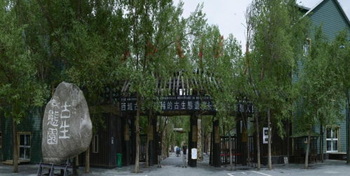 新疆古生態(tài)園 穿越時(shí)空的自然奇觀與生態(tài)寶庫