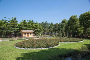 麻涌最美生態(tài)園 免費(fèi)入園，盡享自然饋贈