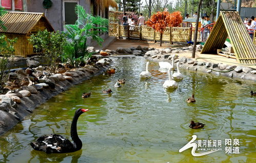 助力冬奧丨華北奕豐生態(tài)園戲雪樂(lè)園即將開園，生態(tài)旅游與冰雪運(yùn)動(dòng)完美融合