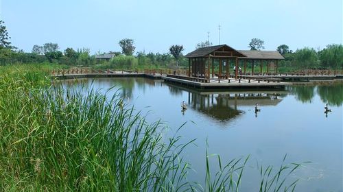 國慶樂游 上海出發，千燈古鎮與大唐生態園一日探幽之旅